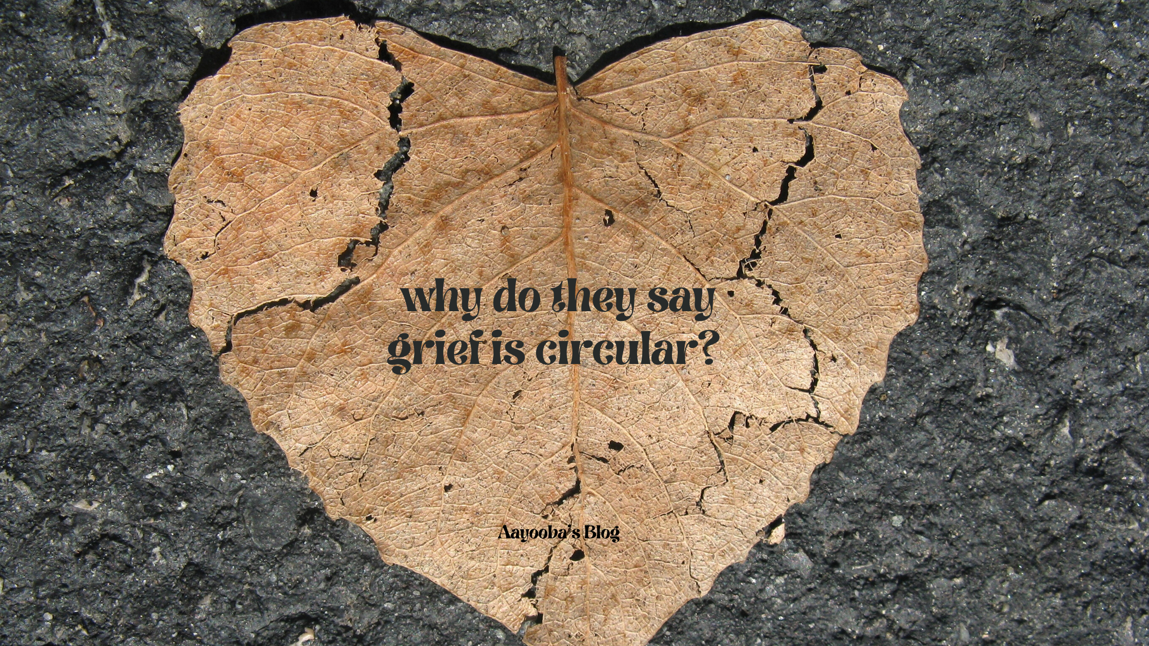heart-shaped leaf broken into parts but put back together with caption 'why do they say grief is circular?' by Aayooba's blog